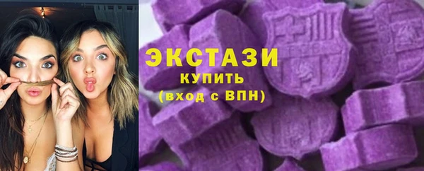 мдпв Богородицк