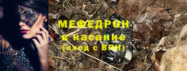 мдпв Богородицк