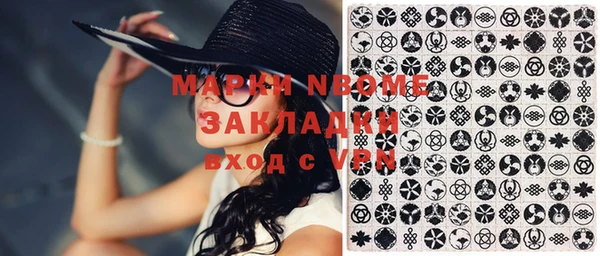 мдпв Богородицк