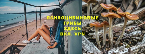 мдпв Богородицк