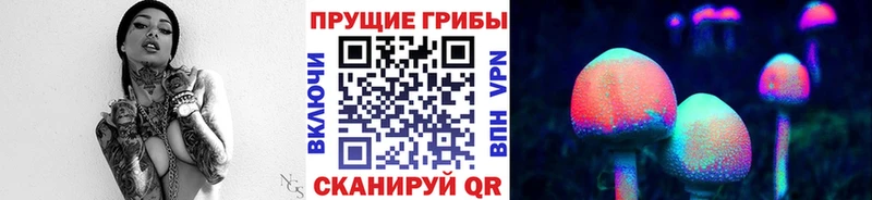 Псилоцибиновые грибы MAGIC MUSHROOMS  сколько стоит  Северодвинск 