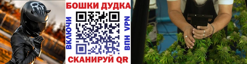 где купить наркоту  Северодвинск  Канабис AK-47 
