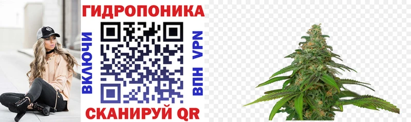 Каннабис план Северодвинск